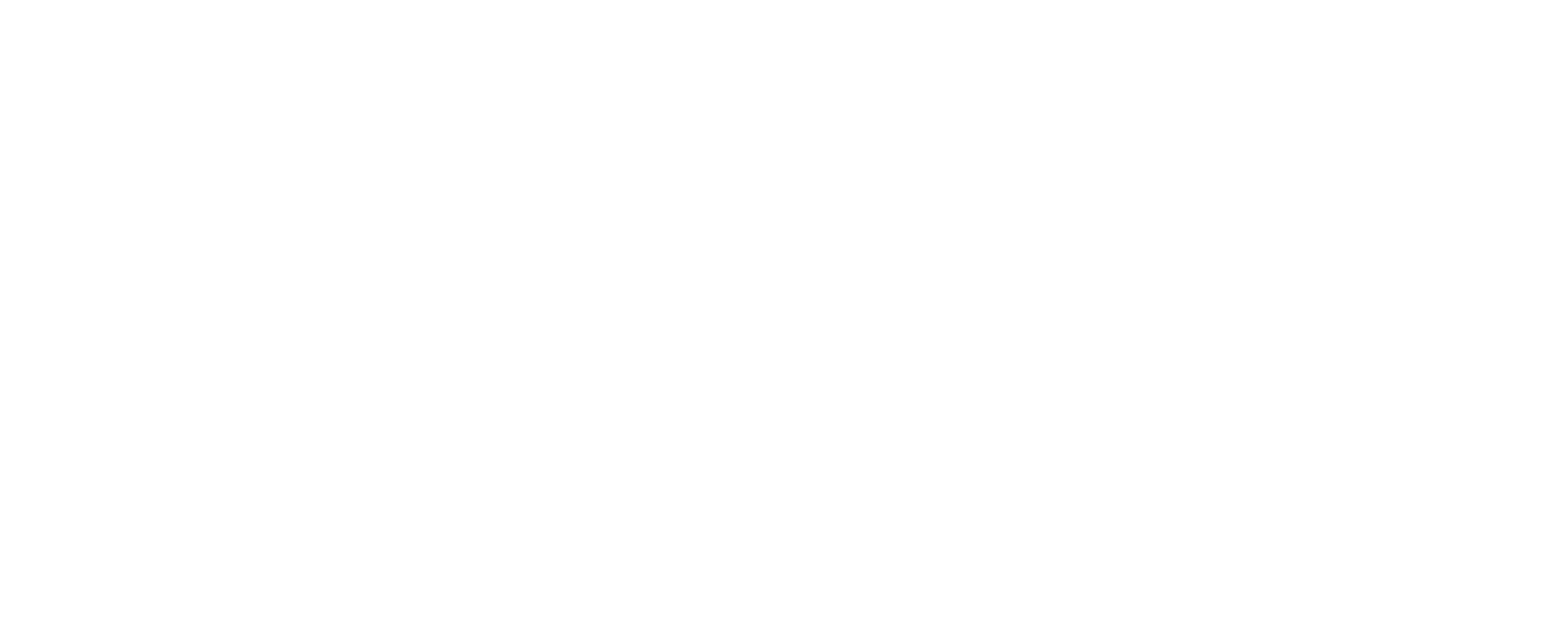 logo light